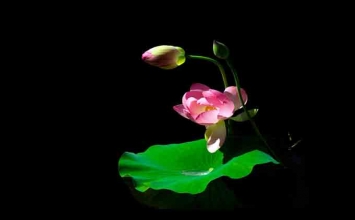 10 điều thường quán sát